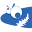 crazyminnowstudio.com