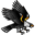 cryptofly.us