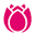 csaok.com