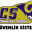 csguvenlik.net