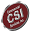 csi1.com