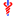 csn.cancer.org