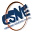 csne.de
