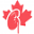 csnscn.ca