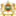 cspj.ma