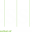 csse.org.uk