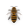 ctbees.org