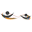 ctecaz.org