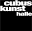 cubus-kunsthalle.de