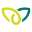 cusatea.com