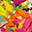 cutandpastephotobooth.com