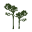 cvva.net