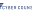 cybercounsel.co.uk