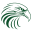 cyberfalcon.com