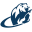 cybernet1.com