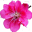 cynramedia.com