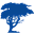 cypress.net