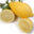 cytrusy24.pl