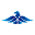 czboxing.com