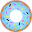 dailydonuts.com