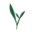 dailygreen.net