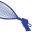 dailyracquetball.com