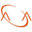 danaflex.com
