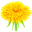 dandelionsrestaurant.com