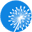 dandelionwebdesign.com