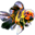 dandyorandas.com