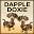 dappledoxie.com