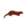 dar.org.pe