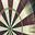 darts.biz.ua