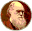 darwinawards.com