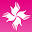 dashingdiva.co.jp