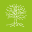 datatree.eu