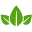 dauduaeplanh.com