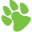 daytimedogs.com