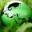 daytodayworld.com