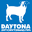 daytonasportswear.com