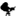 dcvideo.ca