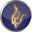 ddon.wikidot.com