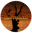 deadwoodjedi.com