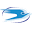 dedalotour.com