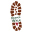deeperwalkinternational.com