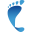deepfootprint.com