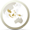 dejudomlaw.com