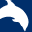 delphin.in.ua