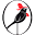 delzorzal.com