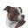 depitbulls.site